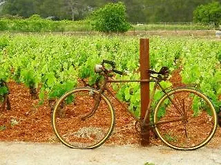 Agroturismo Sa Vinya Den Palerm Santa Gertrudis (Ibiza)