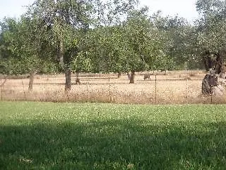 Hotel Agroturismo Sa Vinya Den Palerm *
